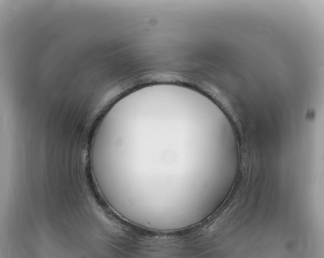 X0000094190063200710261004