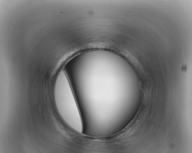 X0000094190064200710261004