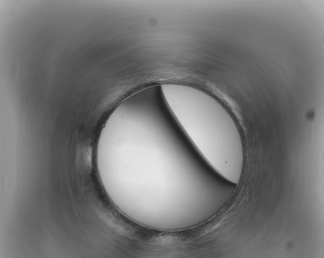 X0000094190067200710261004