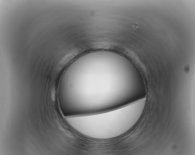 X0000094190068200710261004