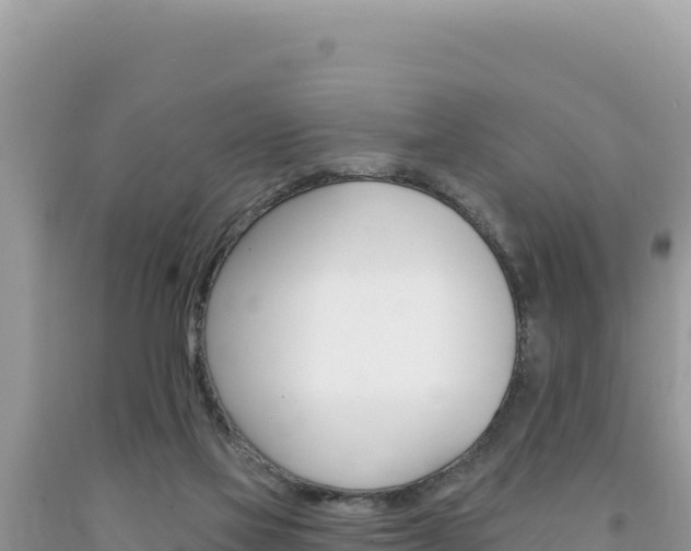 X0000094190069200710261004