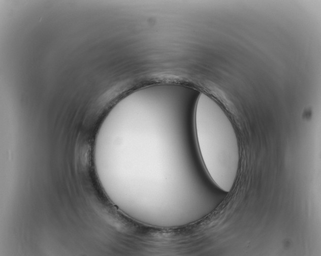 X0000094190071200710261004