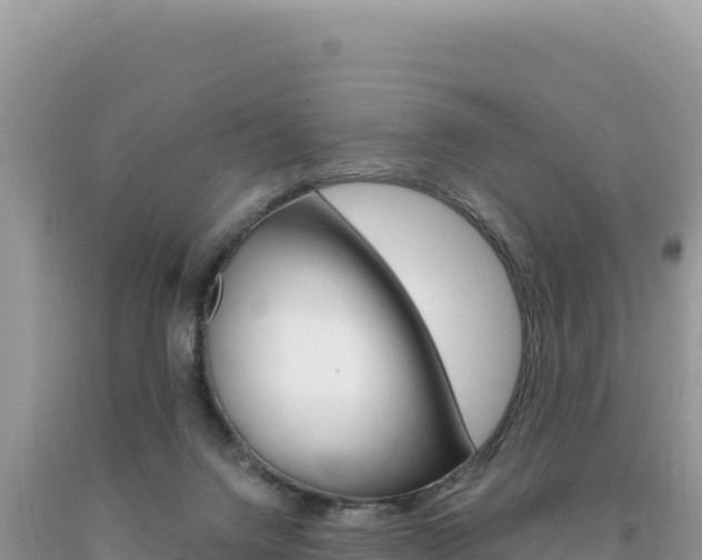 X0000094190072200710261004