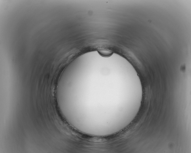 X0000094190073200710261004