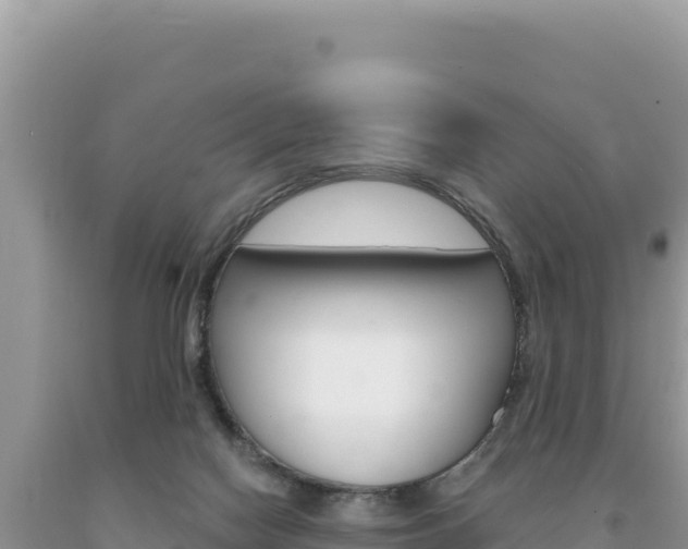 X0000094190074200710261004