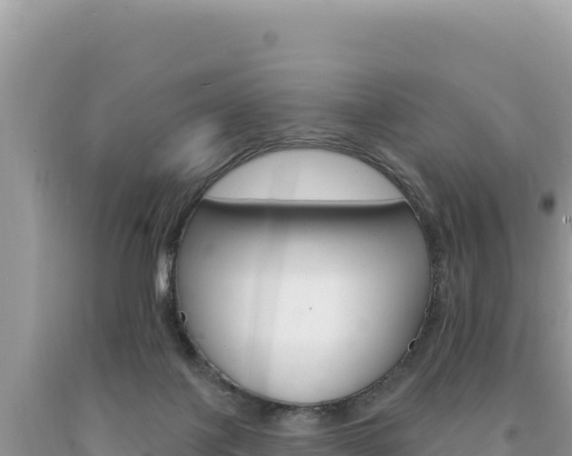 X0000094190075200710261004