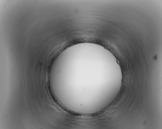 X0000094190077200710261004