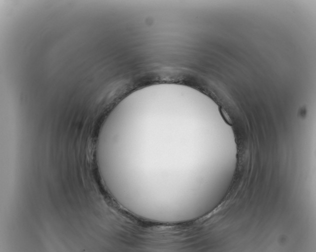 X0000094190078200710261004