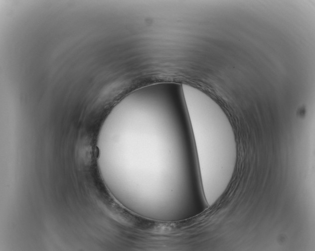 X0000094190080200710261004