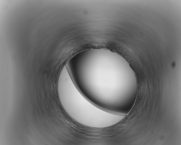 X0000094190084200710261004
