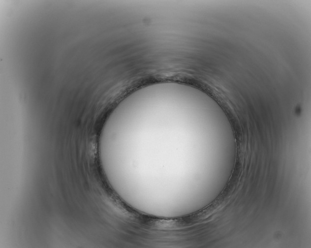 X0000094190085200710261004
