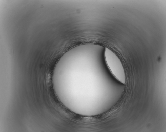 X0000094190087200710261004