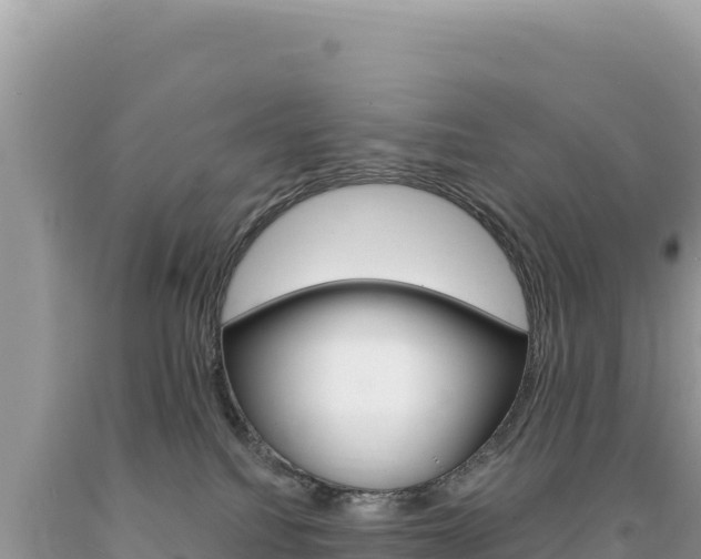 X0000094190088200710261004