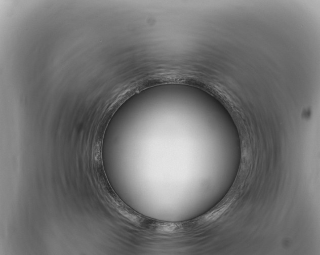 X0000094190096200710261004