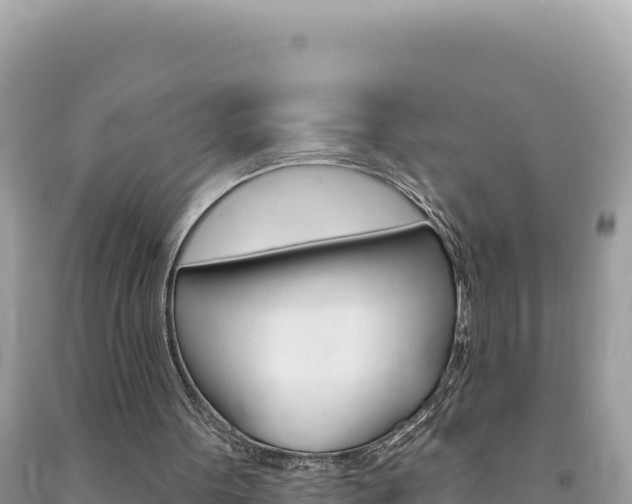 X0000094190099200710261004