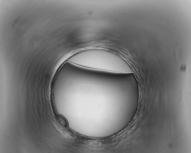 X0000094190100200710261004