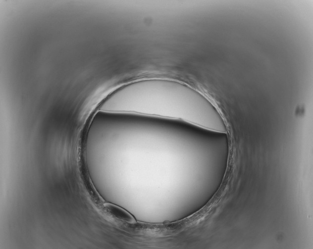 X0000094190103200710261004