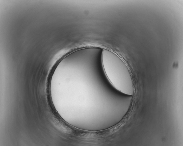X0000094190104200710261004
