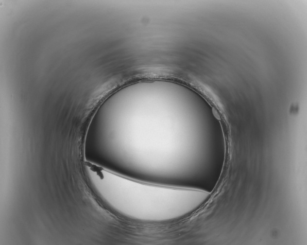 X0000094190105200710261003