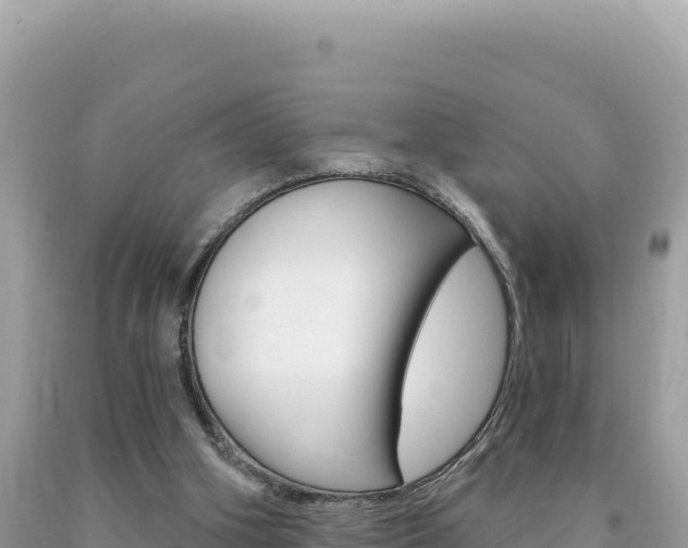 X0000094190106200710261003
