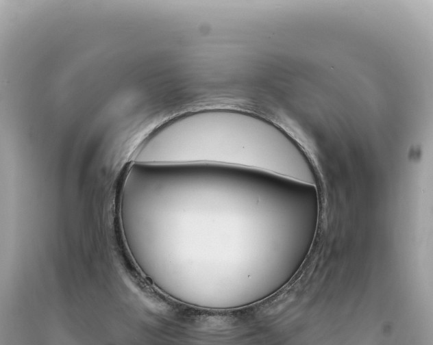 X0000094190107200710261003
