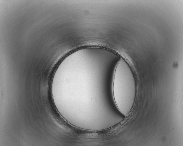 X0000094190108200710261003