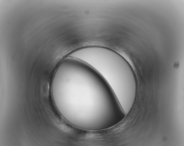 X0000094190109200710261003