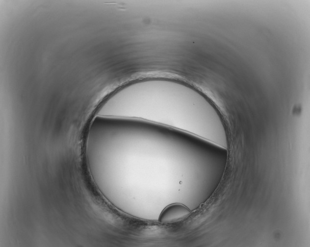 X0000094190111200710261003