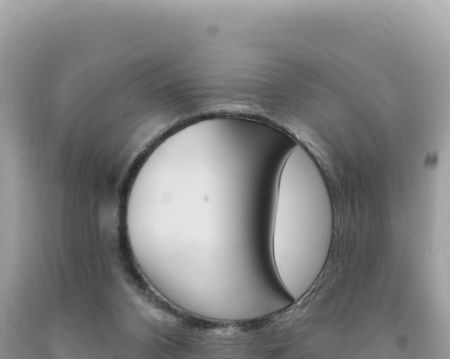X0000094190112200710261003
