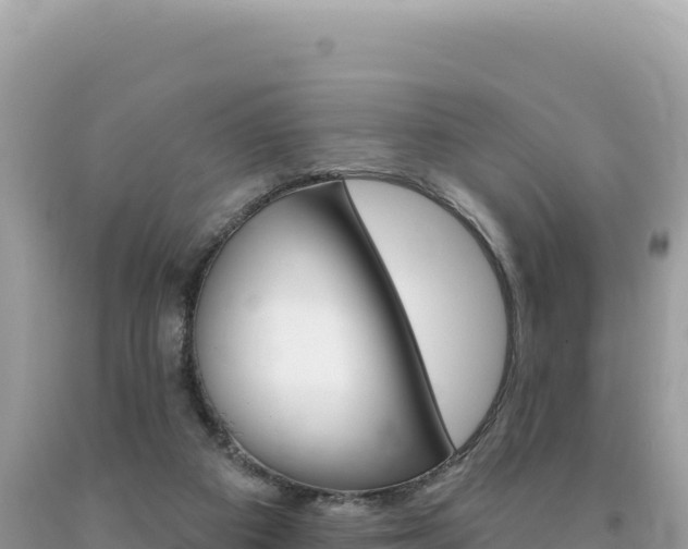 X0000094190113200710261003