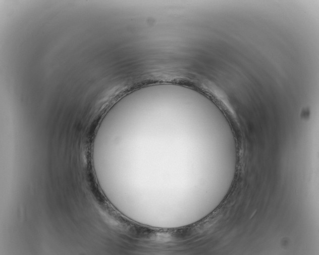 X0000094190114200710261003