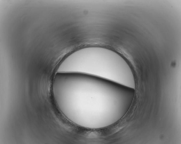 X0000094190115200710261003