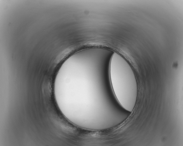 X0000094190116200710261003