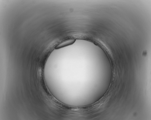 X0000094190117200710261003