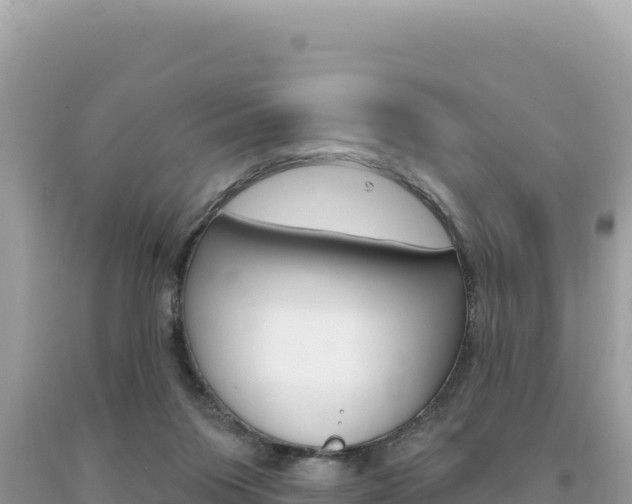 X0000094190119200710261003