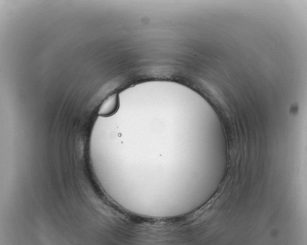 X0000094190120200710261003