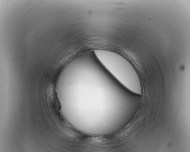X0000094190121200710261003