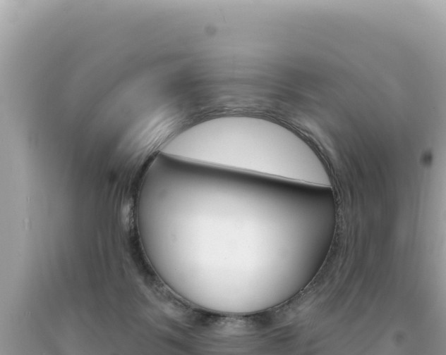 X0000094190123200710261003