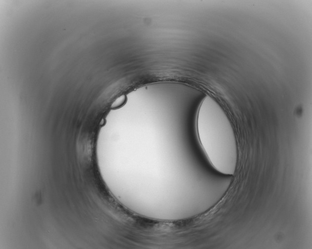 X0000094190124200710261003