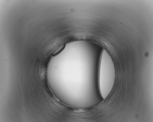 X0000094190125200710261003