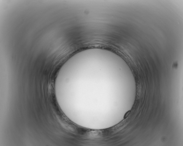 X0000094190126200710261003