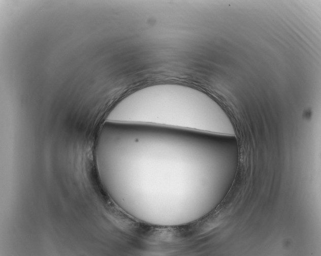 X0000094190127200710261003