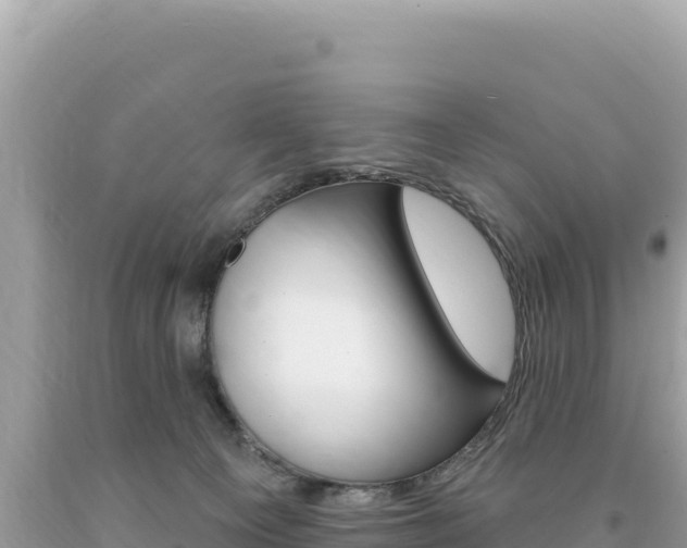 X0000094190129200710261003