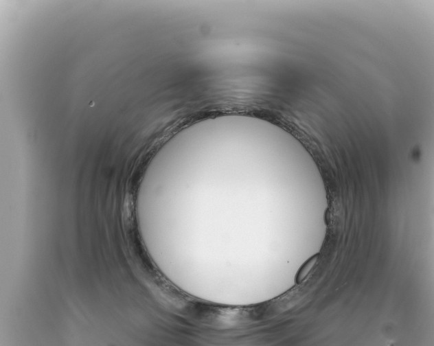 X0000094190130200710261003
