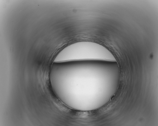 X0000094190131200710261003