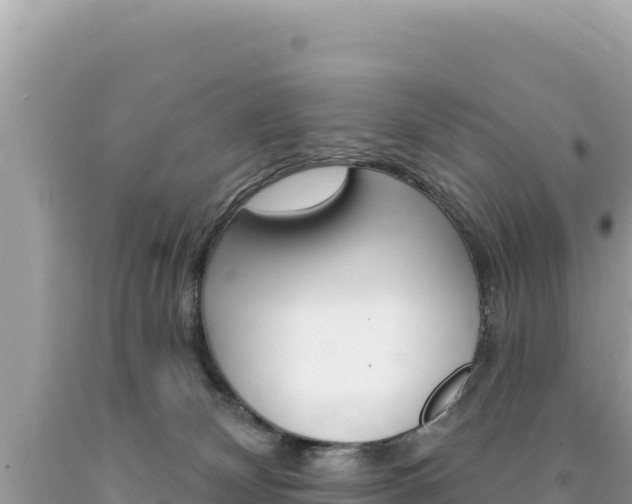 X0000094190132200710261003