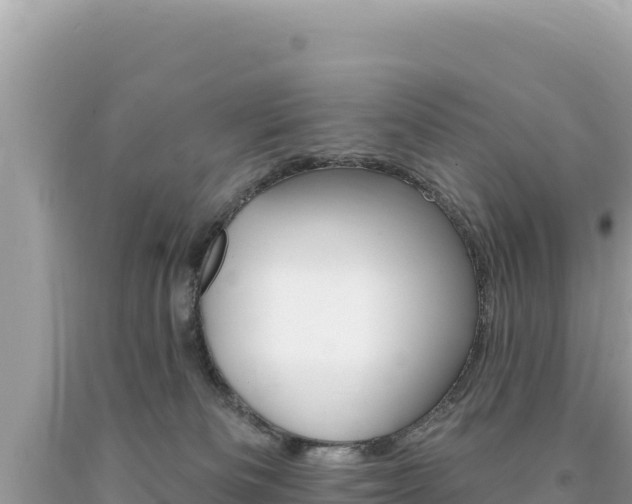 X0000094190133200710261003