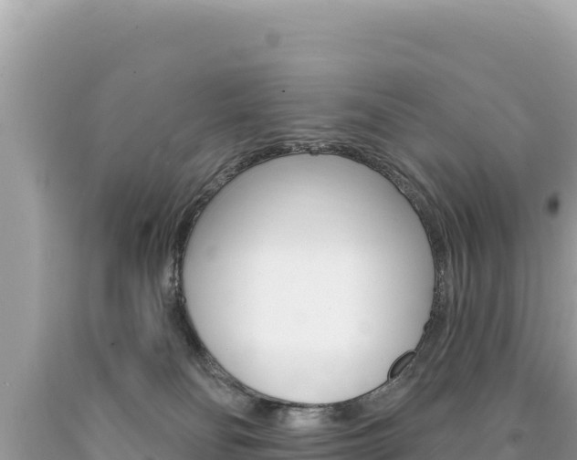 X0000094190134200710261003