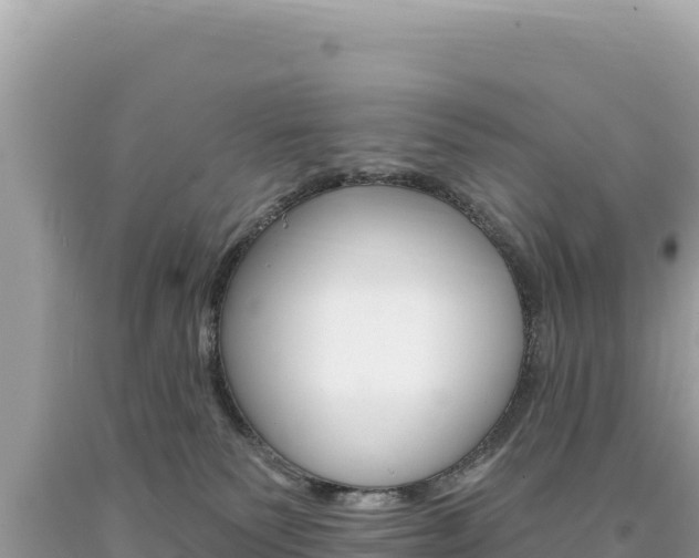 X0000094190135200710261003