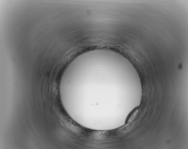 X0000094190136200710261003